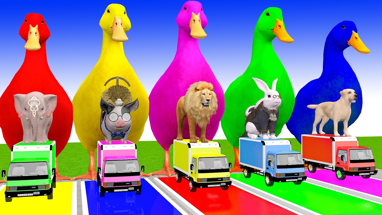 Long Slide Game With Cow Elephant Gorilla Hippopotamus Tiger 3d Animal Game Funny 3d Animals