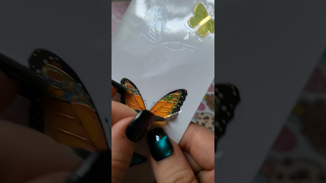 🦋 sticker asmr preview 💫✨️ #asmr #stickerasmr #tappingasmr #capybara #butterfly #sanrio