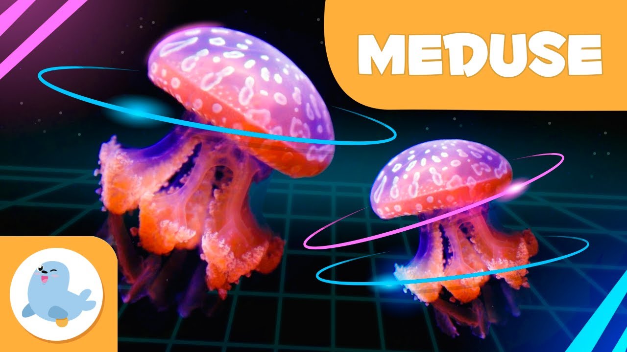 La medusa 👾 Animali per bambini 🌊 Episodio 9
