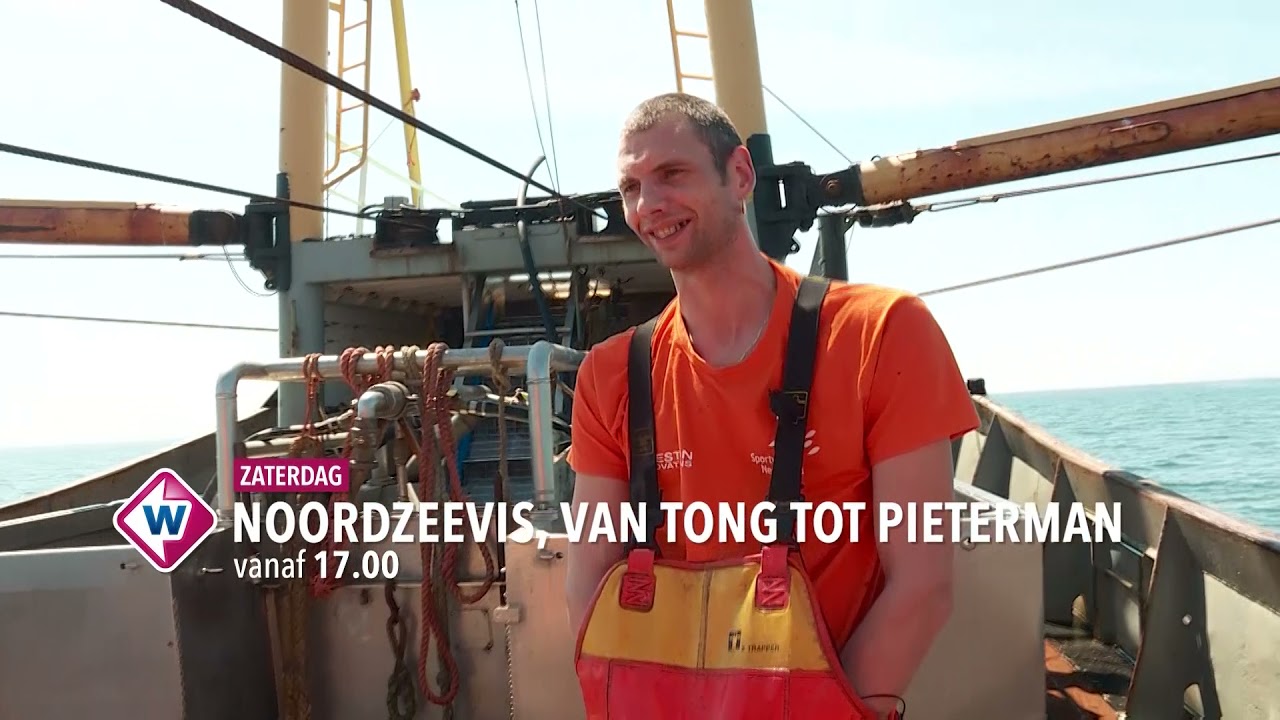 Noordzeevis trailer; Van tong tot Pieterman