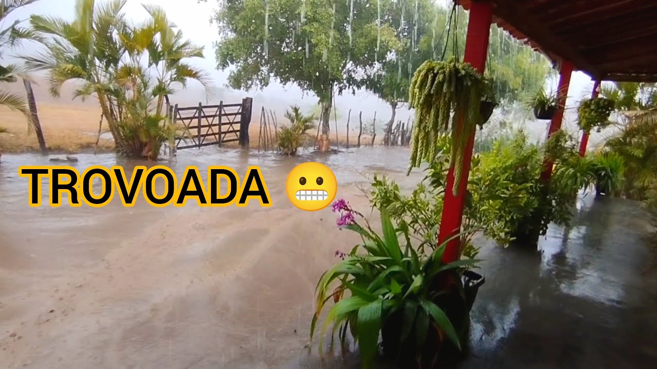A CHUVA DE TROVOADA CHEGOU DA MELHOR FORMA POSSÍVEL, VEJAM QUE MARAVILHA.
