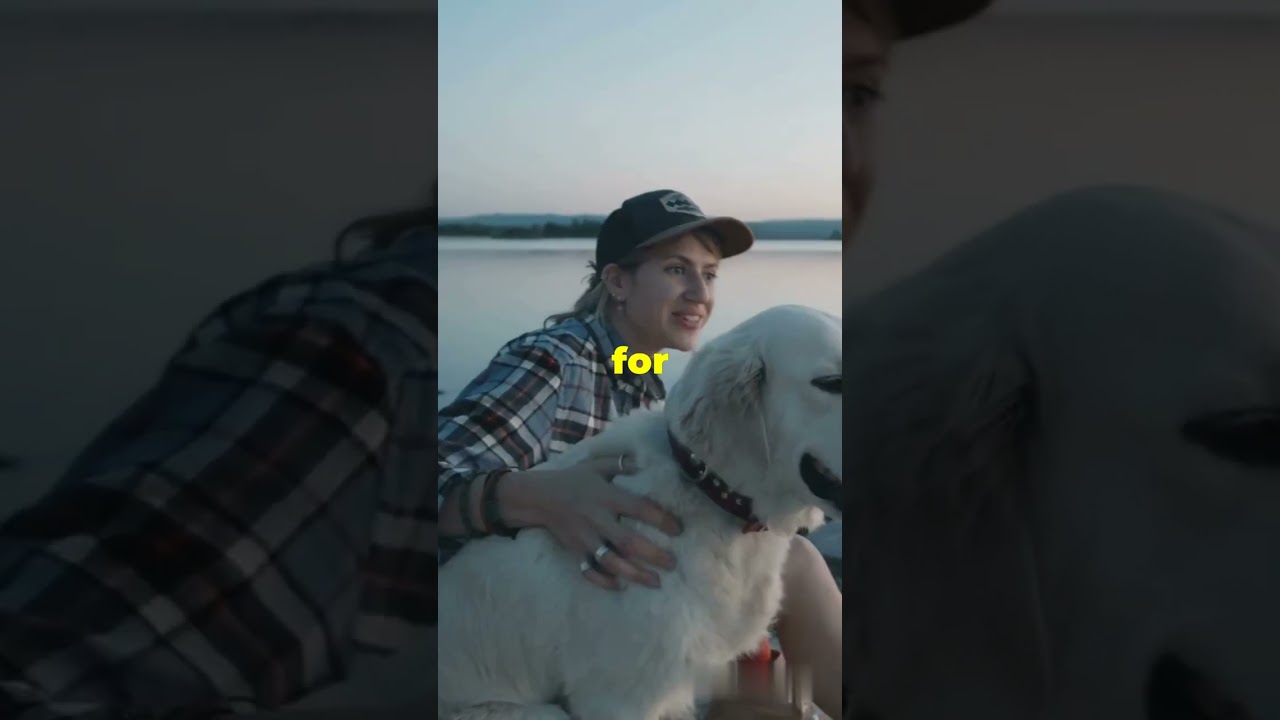 Need a pet journal? WRITE IN COMMENT. WE WILL connect with you.