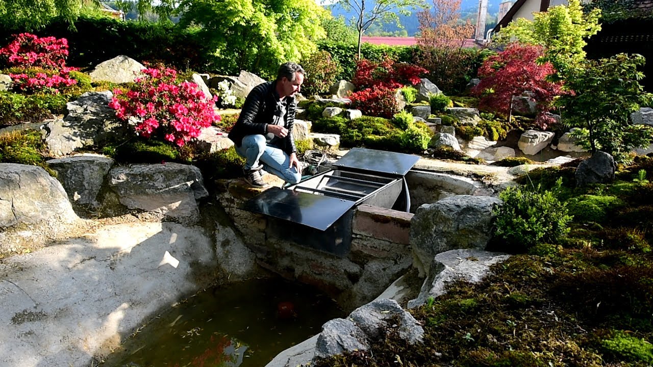 Modern Koi Blog #1670 - A wall skimmer for ponds with massive tree populations