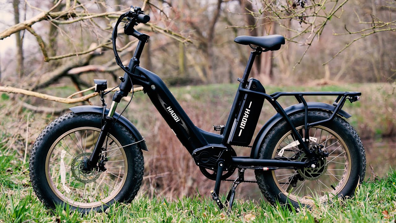 HAOQI ANTELOPE | DUAL AKKU SYSTEM | ERSTER EINDRUCK | Deutsch