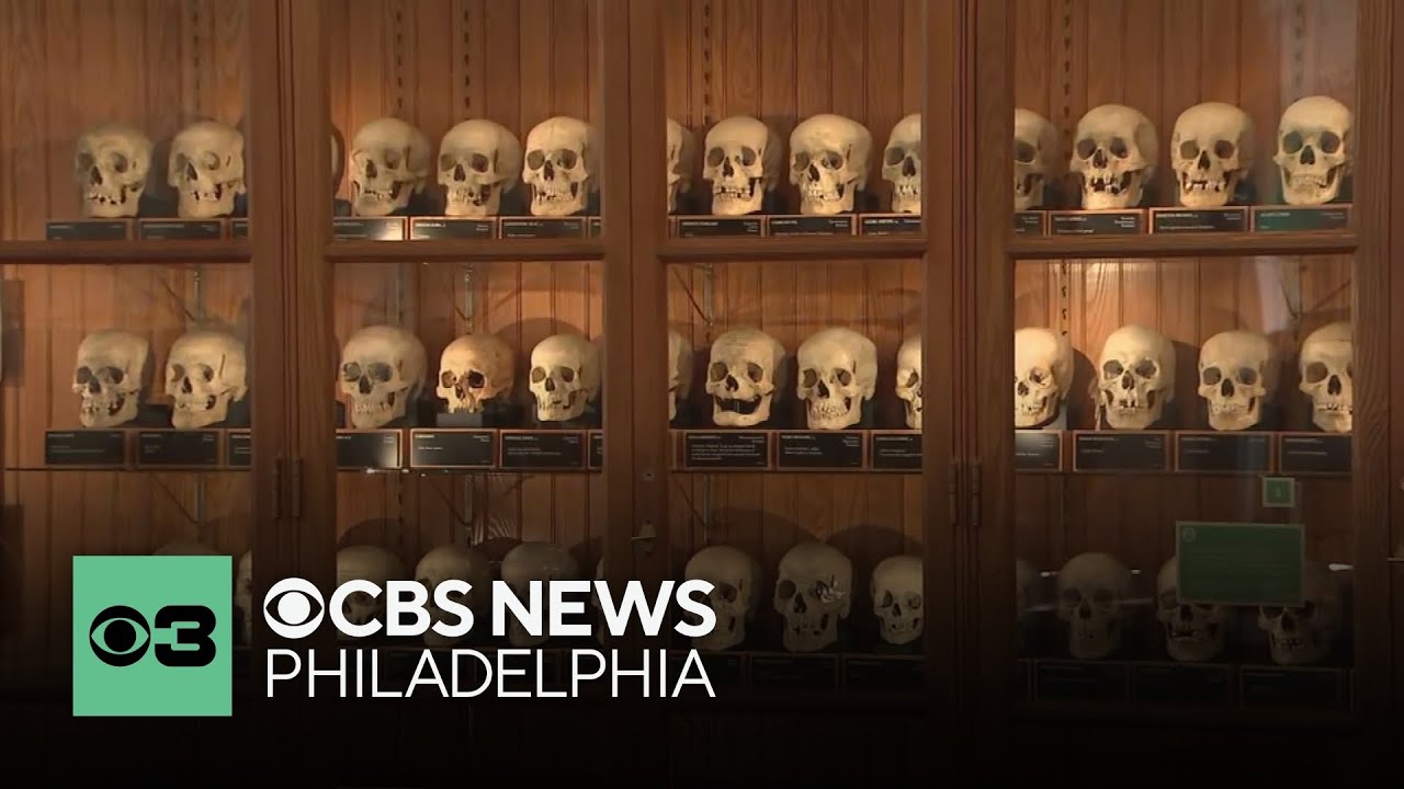 The Mütter Museum is updating its approach to managing its human remains collection