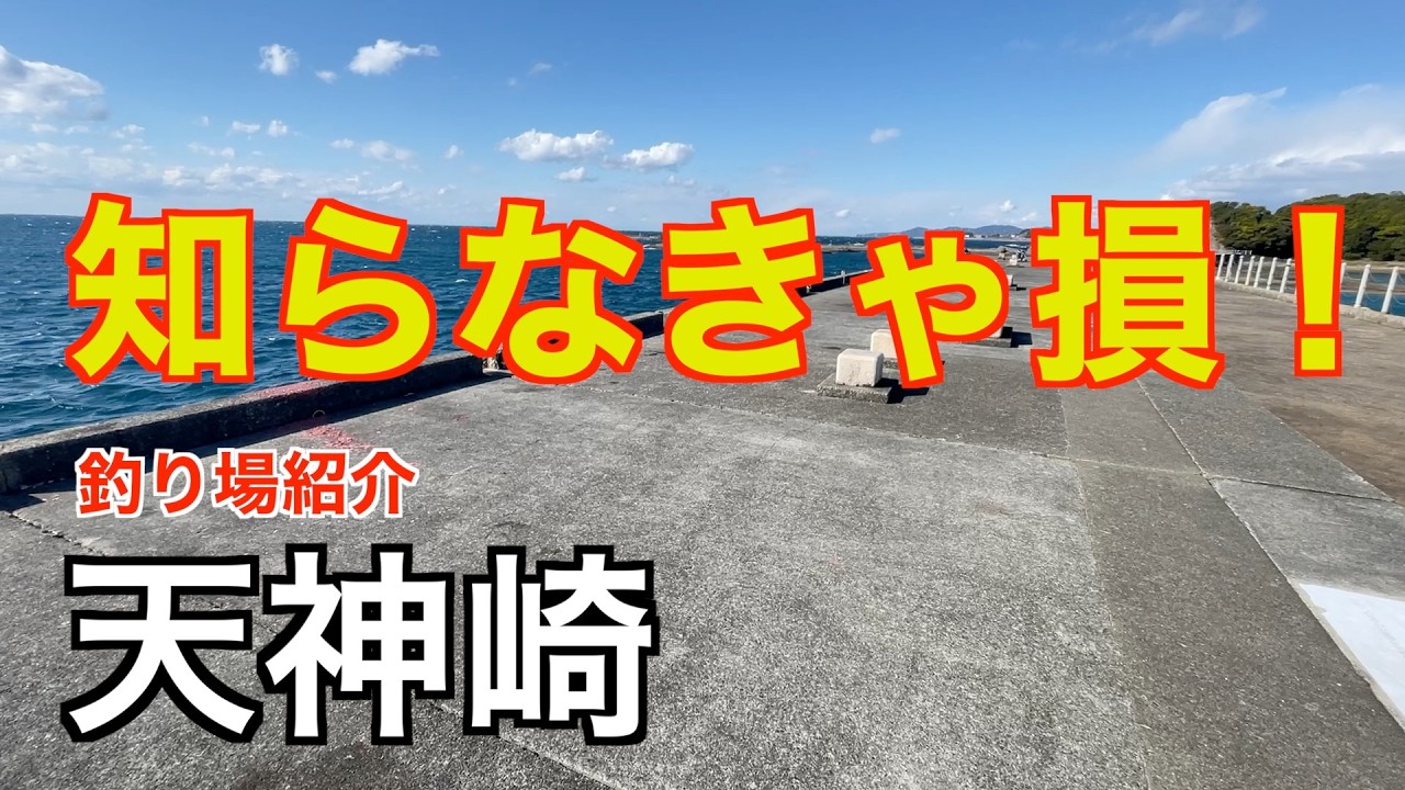 【釣り場紹介#12】天神崎 釣りに行く前に知っておきたい基礎情報 無料駐車場にトイレ完備 