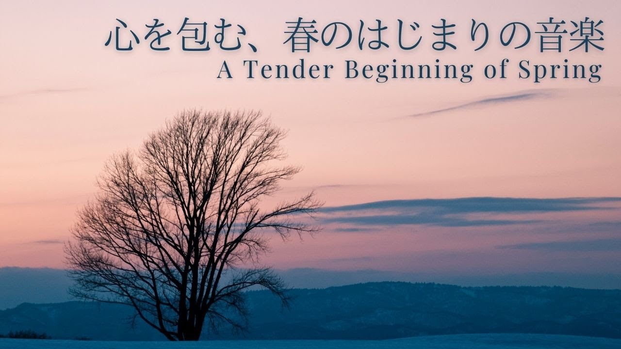 【途中広告なし/癒しの洋楽playlist】心を包む、春のはじまりの音楽｜A Tender Beginning of Spring