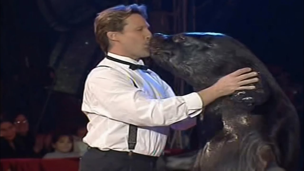 Il numero di otarie della famiglia Dubsky al Circo Massimo (2000)