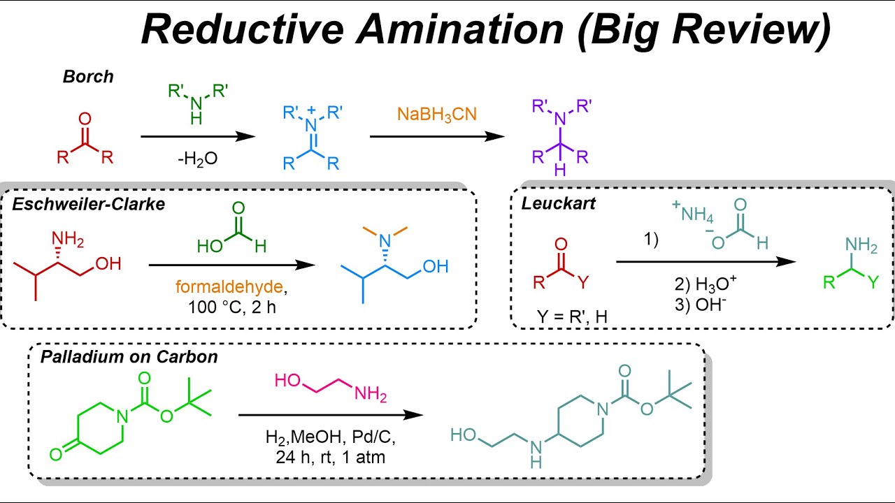 Reductive Amination & Amide Synthesis (IOC 40)