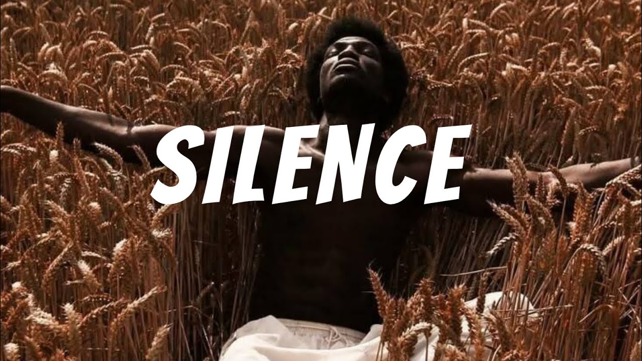 [FREE FOR PROFIT]                                             Afrobeat Instrumental 2025  -  SILENCE