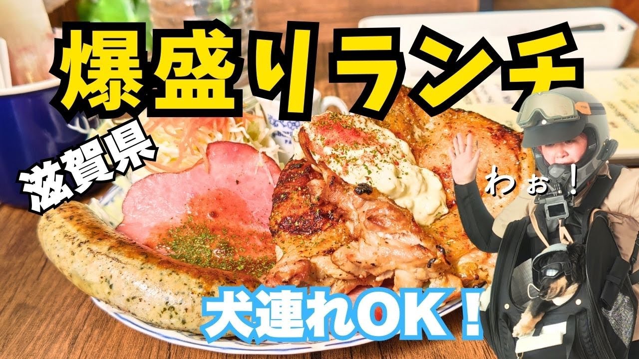 【滋賀ツーリング】信楽の”森カフェ”で爆盛りワンプレートランチ！犬連れOK🐾