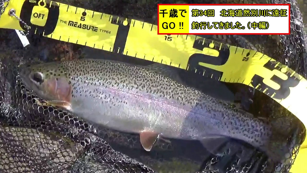 千歳でGO!! 第34回 北海道然別川に遠征釣行してきました。（中編）。ニジマスが44cmを筆頭に順調に釣れました。