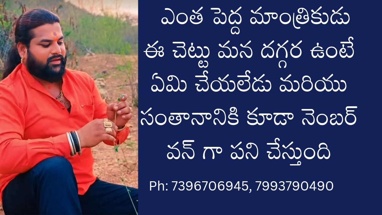 పాతాళభైరవుడు చెట్టు యొక్క ఉపయోగాలు