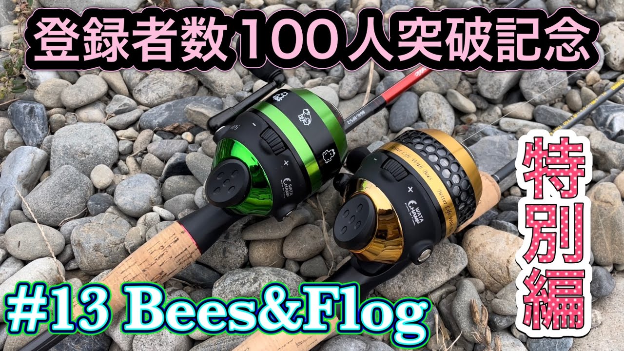 登録者数100人突破‼︎ありがとう記念特別編‼︎【ワタチャンプ スピンキャスト Bees&Flog】