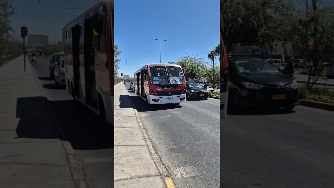 Bepobus Nascere Low Entry - Calama