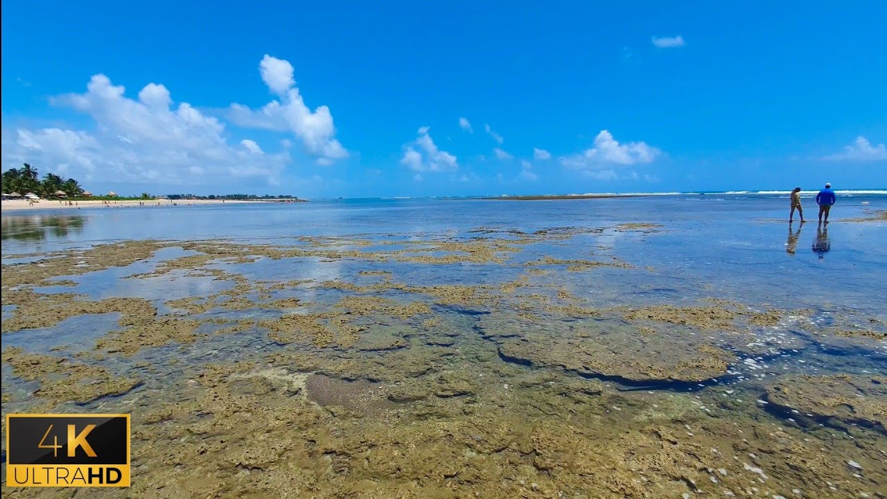 Praia de Serrambi em Ipojuca PE ao Lado de Porto de Galinhas 4k