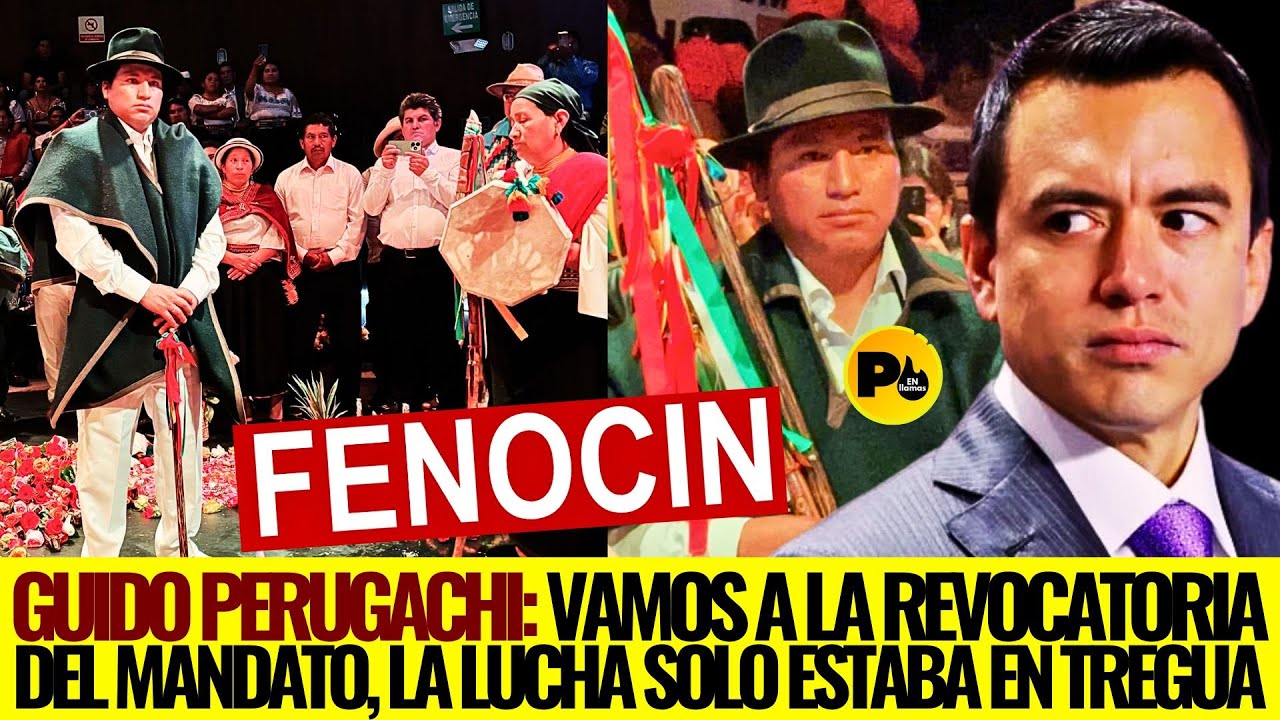 Guido Perugachi: Vamos a la REVOCATORIA del mandato,  LA LUCHA SOLO ESTABA EN TREGUA.