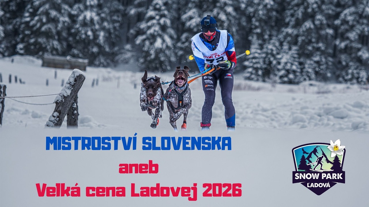 Mistrovství Slovenska | Ľadová 2026 | Skijöring dva psy, celá trať. Jsme rychlejší než spřežení?