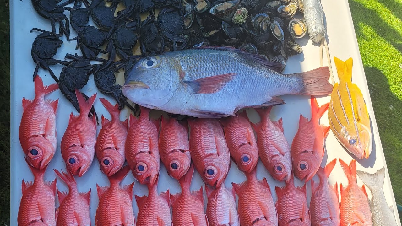Menpachi/Ulua Fishing