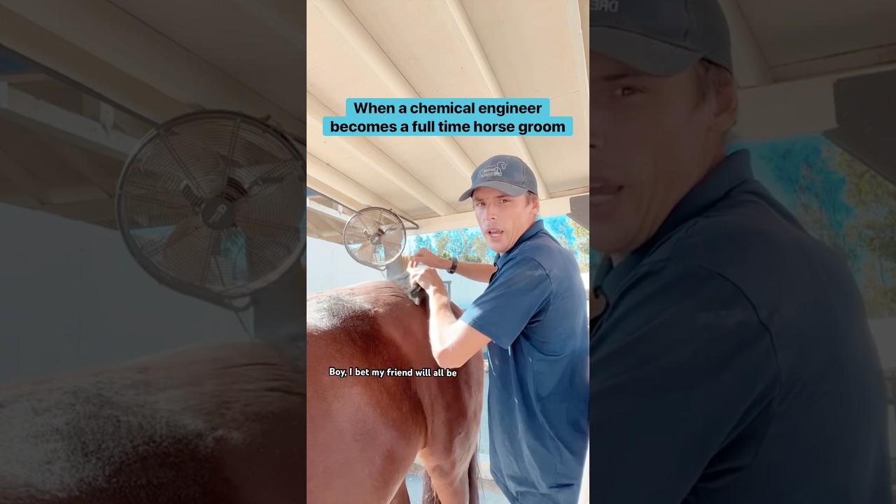 How to become a horse groom? Start as a Chemical Engineer. Marry a horse girl. #shorts #horse