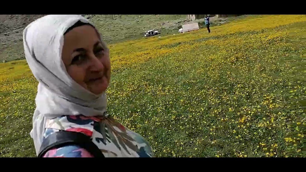 NİĞDE ULUKIŞLA MEYDAN YAYLASI #BolkarDağları #TorosKurbağası