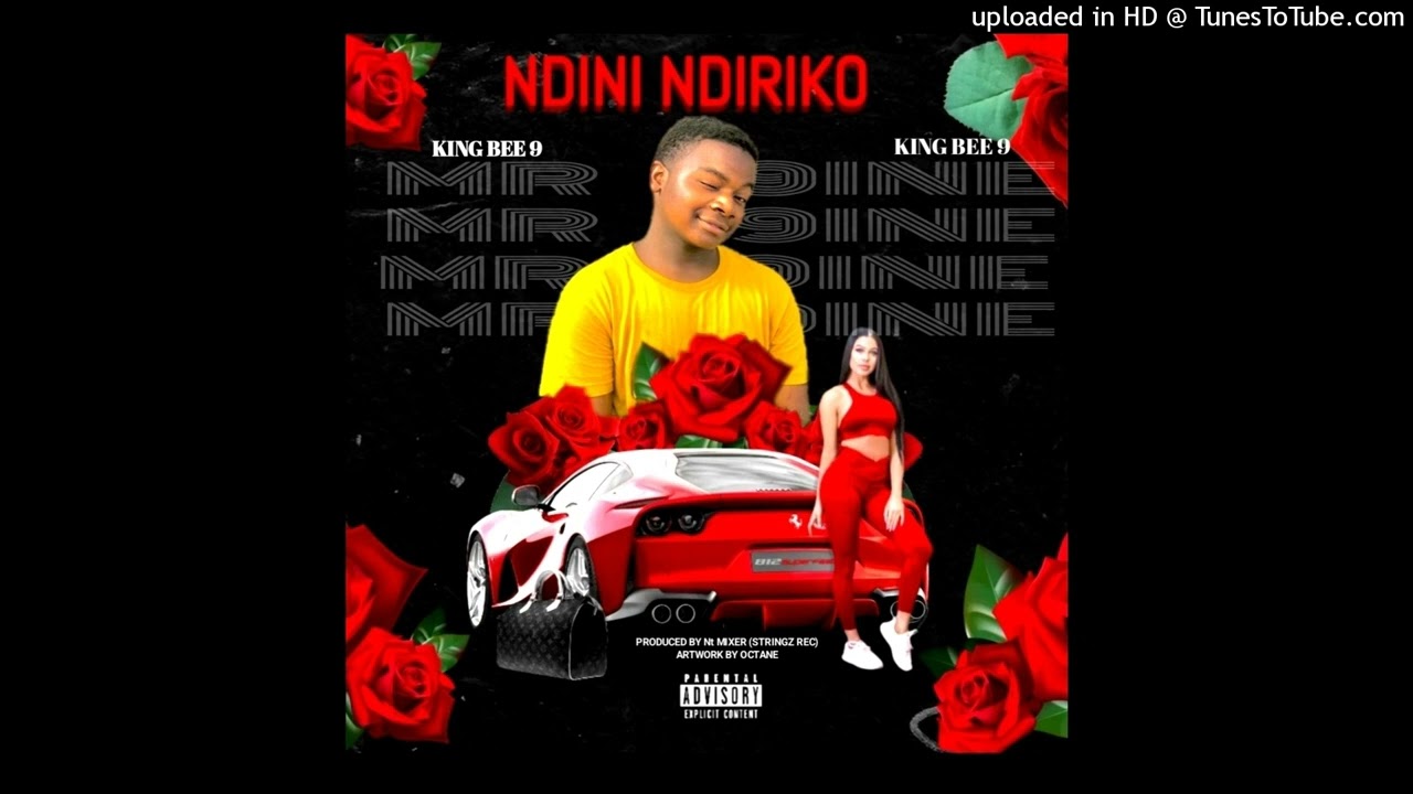 MR 9 -ndini ndiriko[Stringz Mzq] king bee 9 officail music