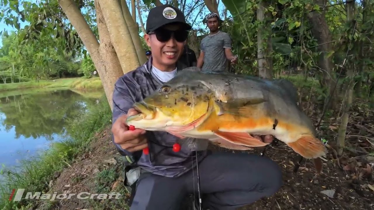 MajorCraft Fishing Series All Stars