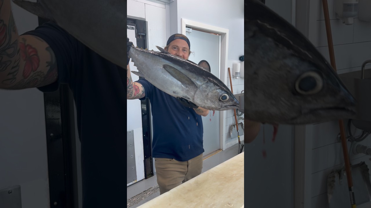Вы уже пробовали тунца Blackfin? Снято с @DexterOutdoors