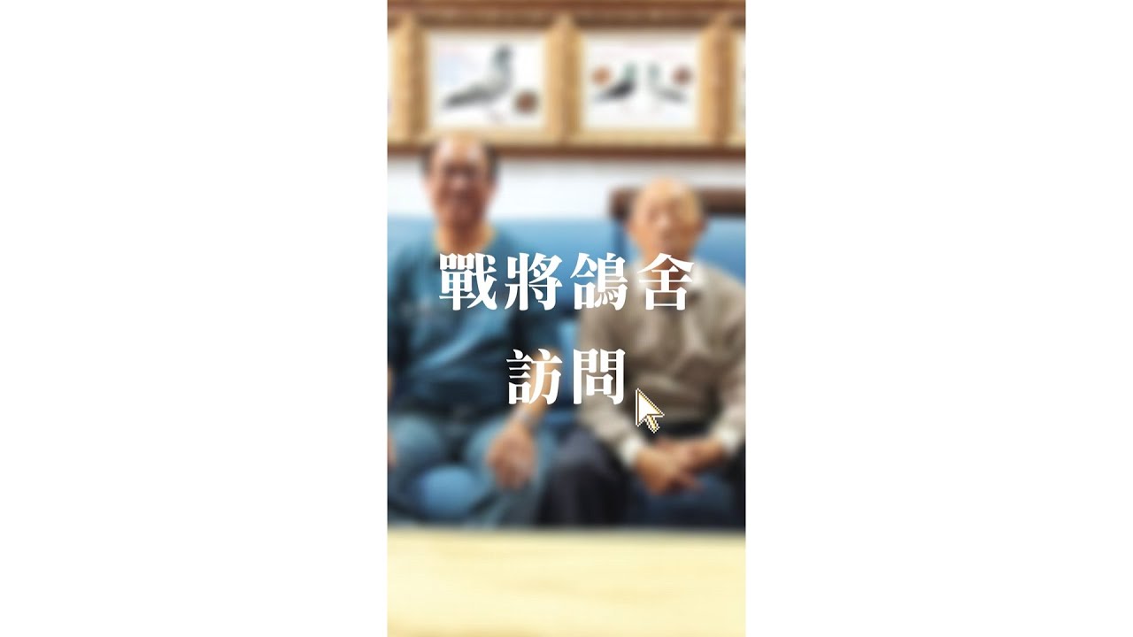 專訪【戰將鴿舍】縱橫南北海翔組全伯馬神兵の利器 #戰將鴿舍 #祕包 #喬治波里 #南海 #賽鴿 #種鴿 #養鴿 #2100賽鴿王