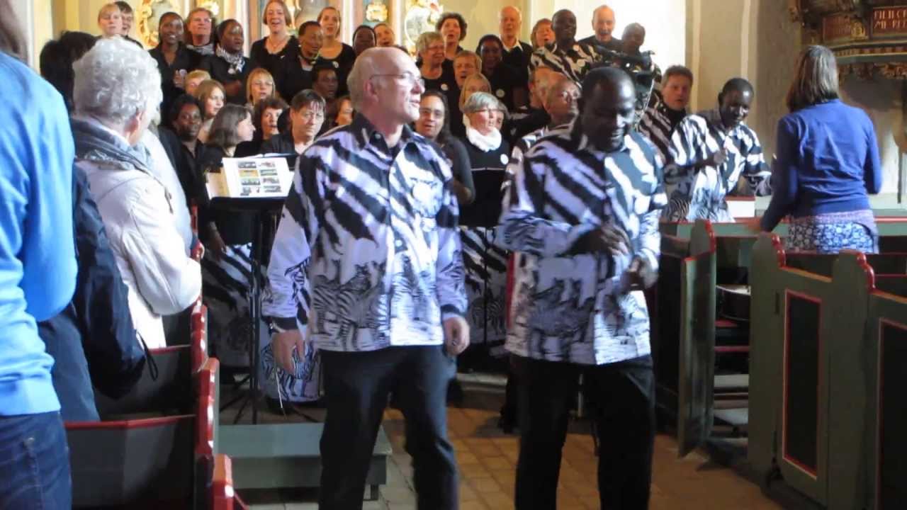 Punda Milia ‒ Die Zebras sind im Norden 01