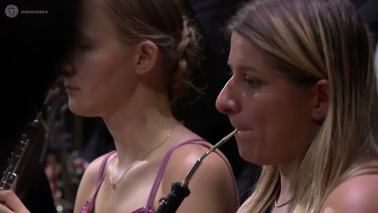 Thomas Ludwig | Symphony No. 3 Movement lll. Scherzo  Danubia Symphony Orchestra Live