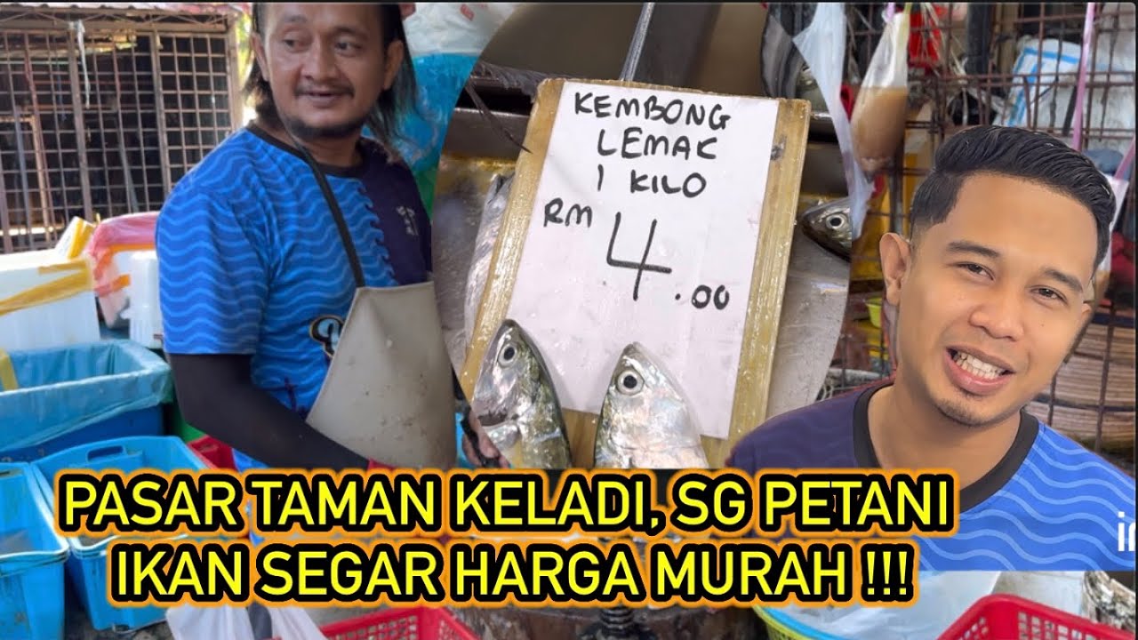 KEMBONG RM3 SEKILO, PASAR TAMAN KELADI, SG PETANI, KEDAH. IKAN SEGAR HARGA RAHMAH #Morning Market