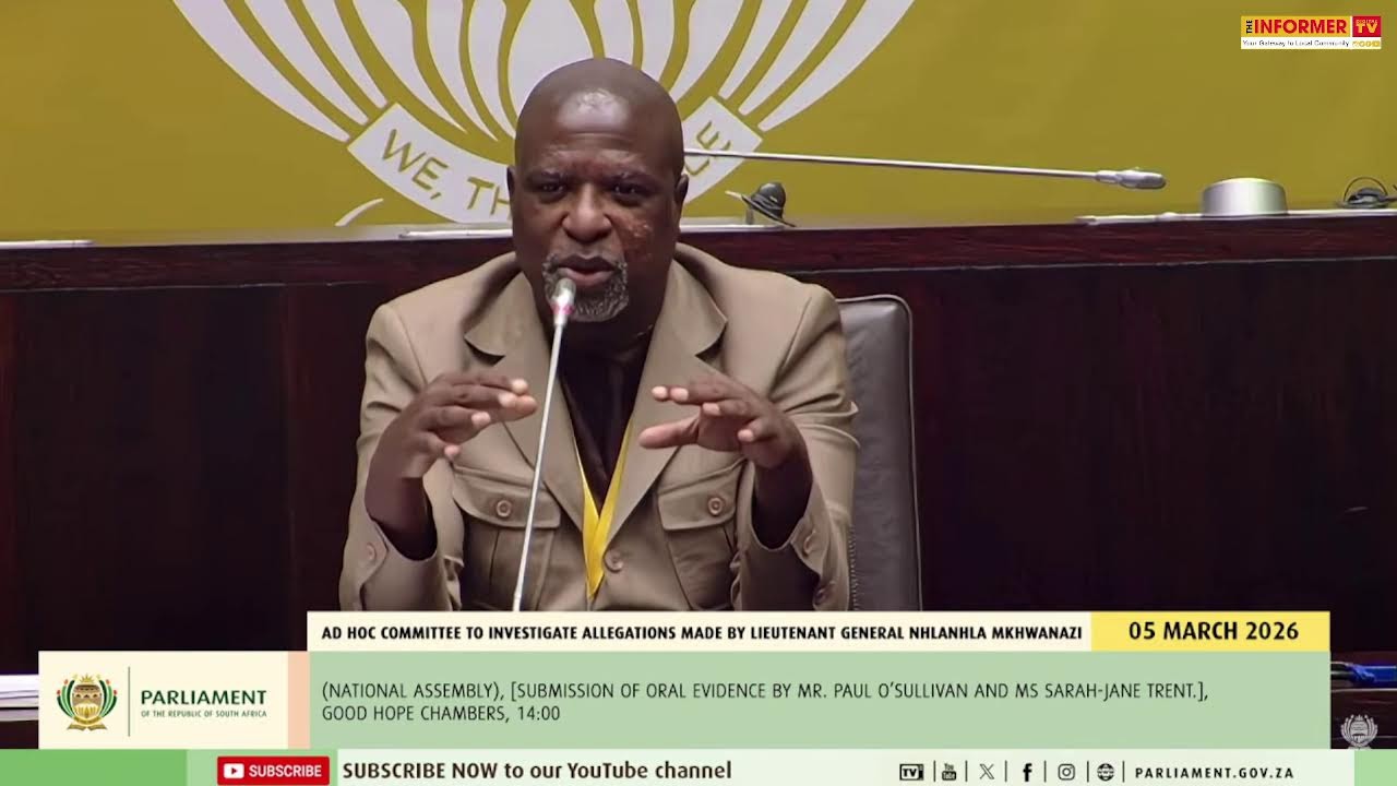 Ad Hoc Committee to investigate allegations made by Lieutenant General Nhlanhla Mkhwanazi