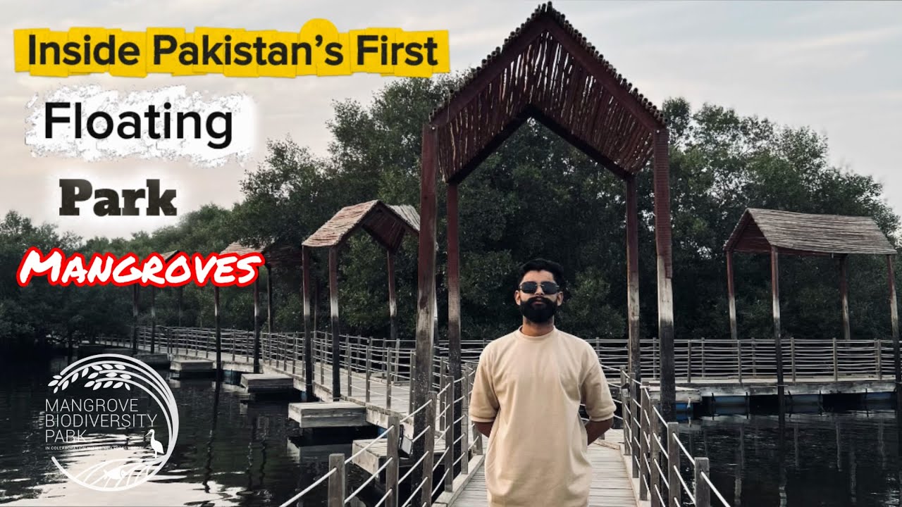 “A Mangrove Forest Has Developed in Korangi Creek” 