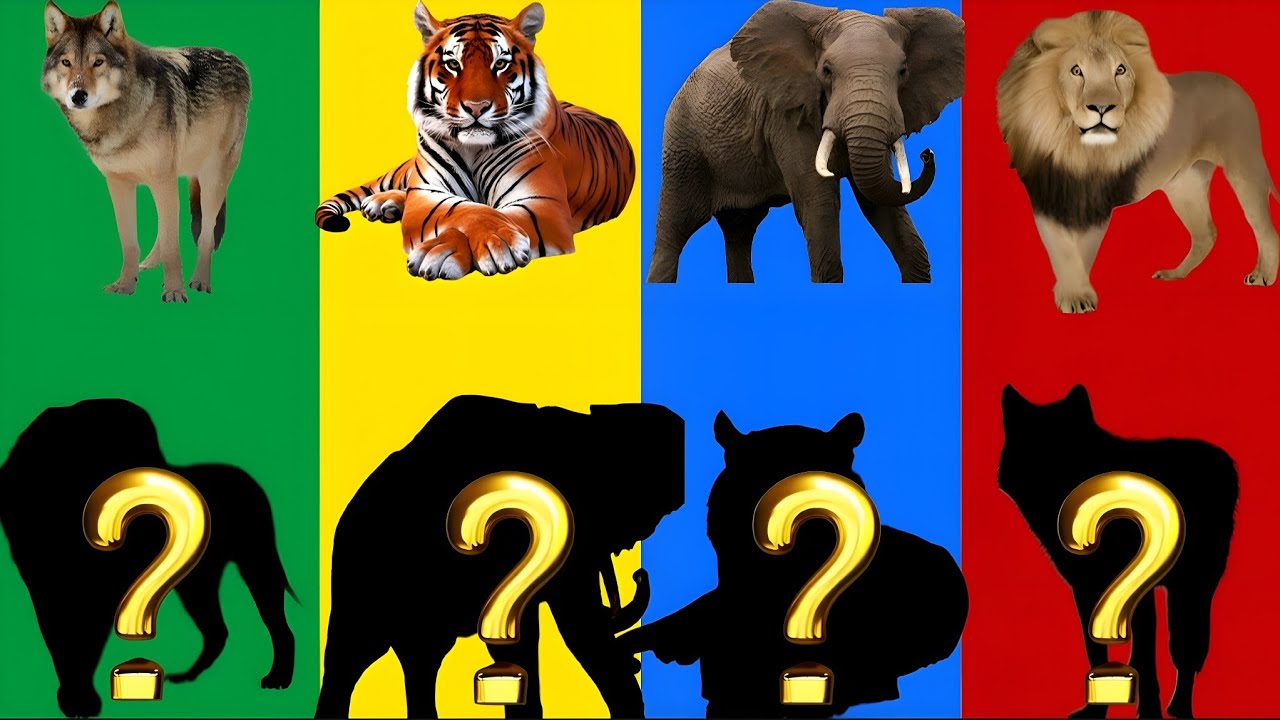 Only 1% Can Match These Animal Shadows!