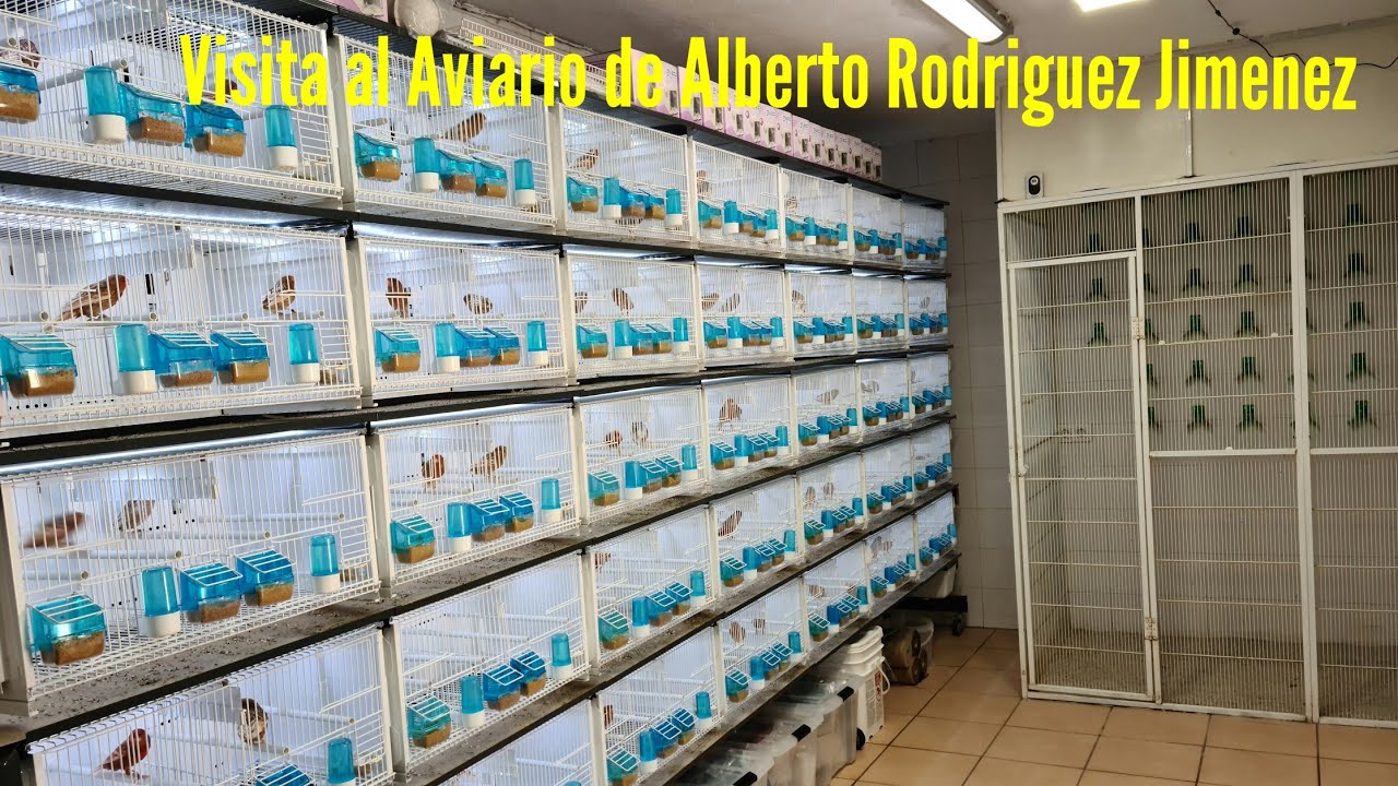 Visitando a mi gran amigo ALBERTO Rodriguez Jimenez.