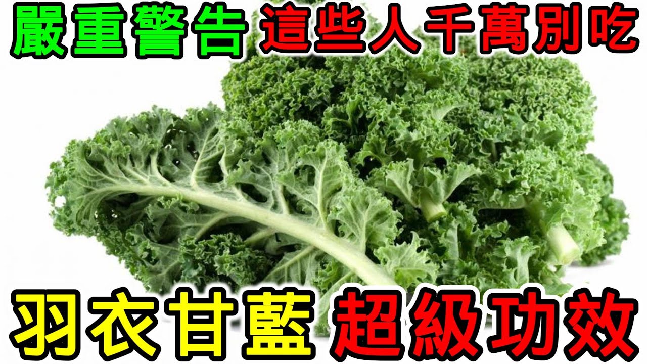羽衣甘藍的營養價值，羽衣甘藍的功效，羽衣甘藍的副作用，羽衣甘藍的禁忌，羽衣甘藍可以天天吃嗎？羽衣甘藍不能和什麼一起吃？哪些人不能吃羽衣甘藍？