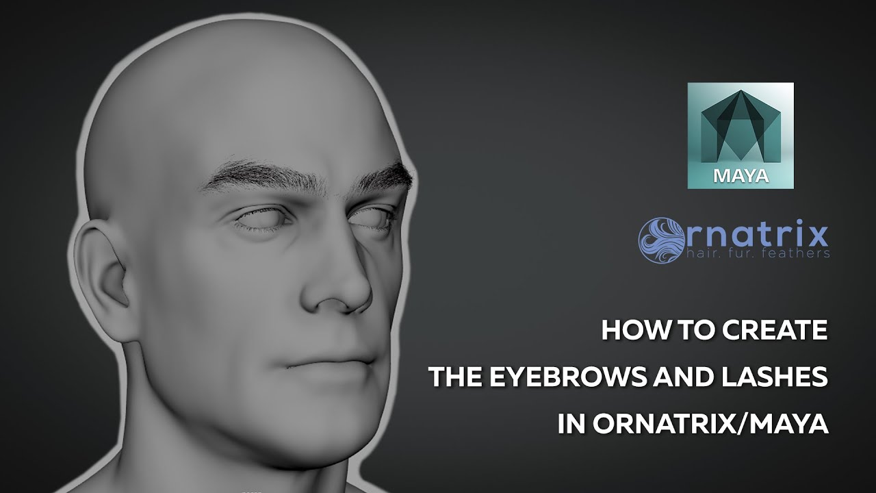 Создание бровей и ресниц для мужского персонажа в Ornatrix/Maya