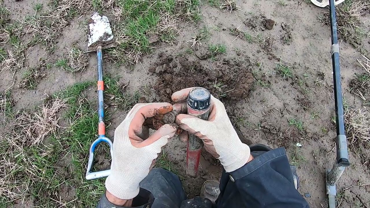Jim hits on beautiful Great Seal button in farm field.