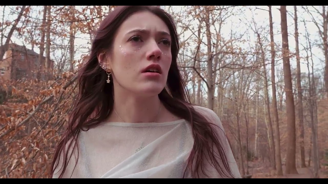 Stevens_Scarlett_CreativeSubmission