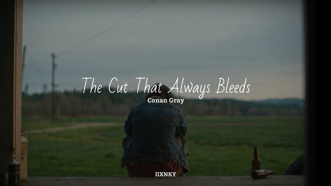 Conan Gray - The Cut That Always Bleeds ( slowed - reverb )