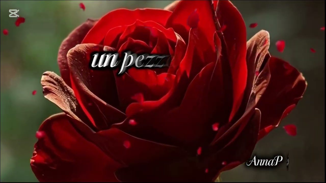 Amami ❤️  Dedicala alla Persona che Ami . #annap #riflessioni #pensieri #verità #amore #cuore #love 