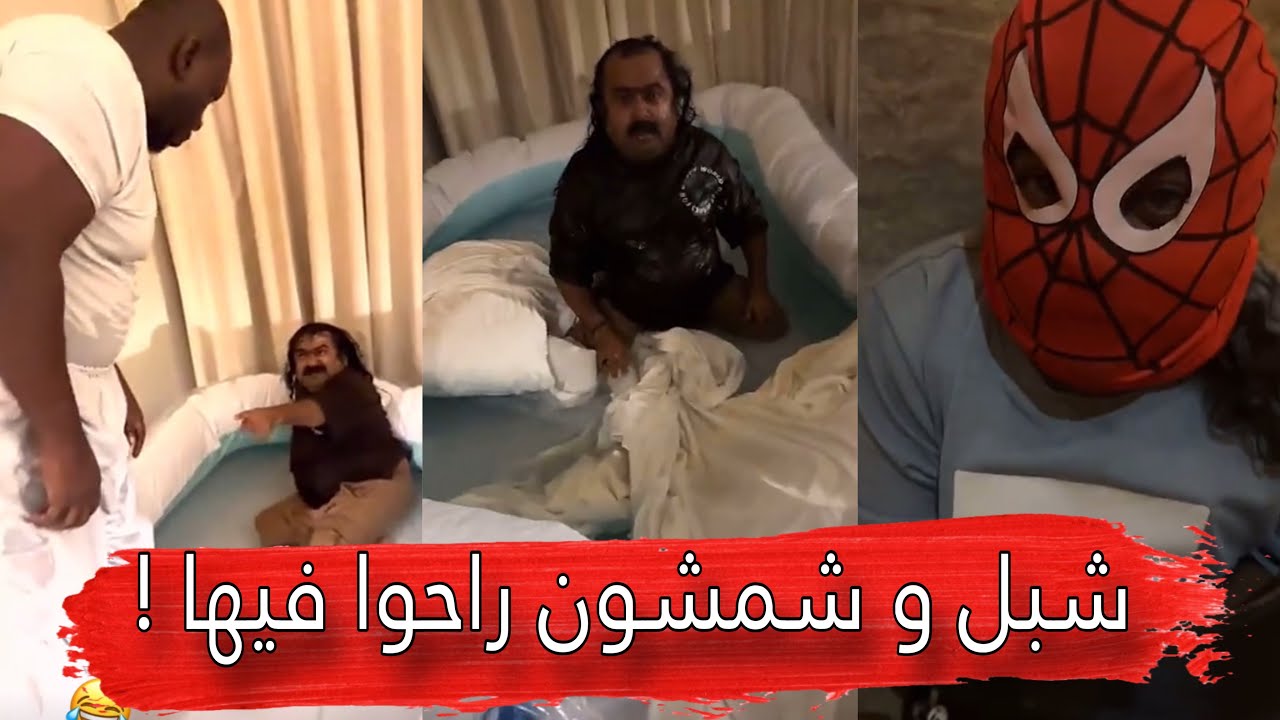 مايد الانصاري [352]  شبل و شمشون راحوا فيها 😂🔥