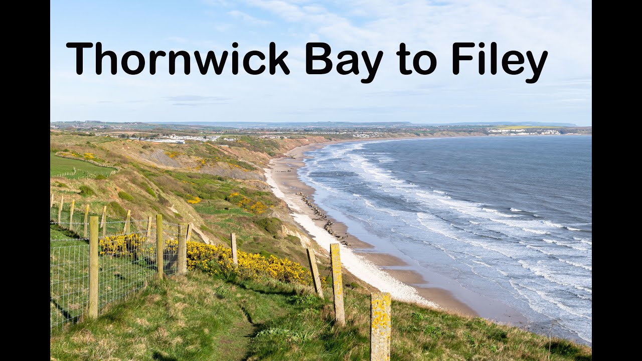 Thornwick Bay to Filey Country Park