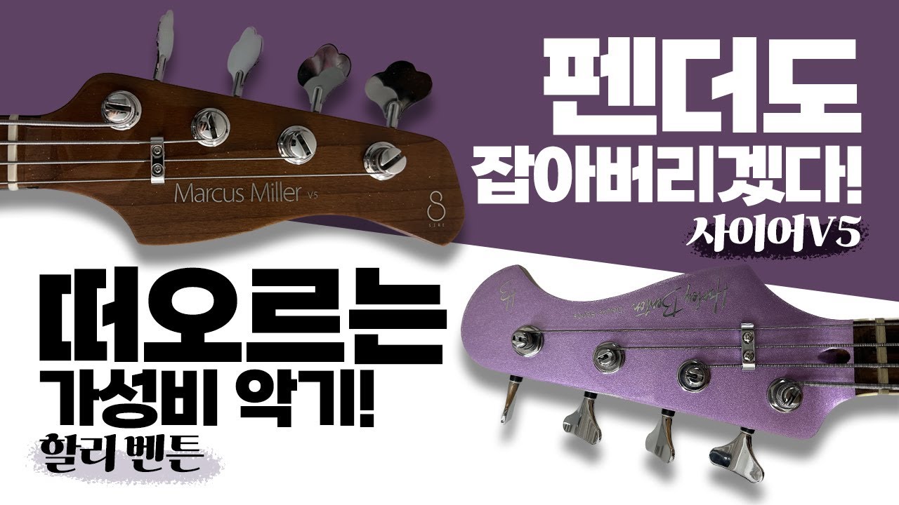 Sire V5 & Harely Benton MV4JB 비교리뷰 !! 중급용베이스와 입문용베이스 -손록손록tv-