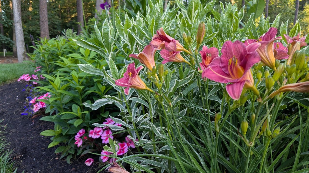 May Garden Tour (2025)