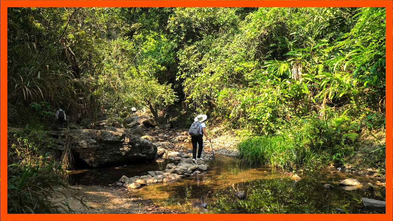 A paradise for hiking enthusiasts｜4K HDR｜Shenzhen Wutong Mountain Tiger Stream Waterfall