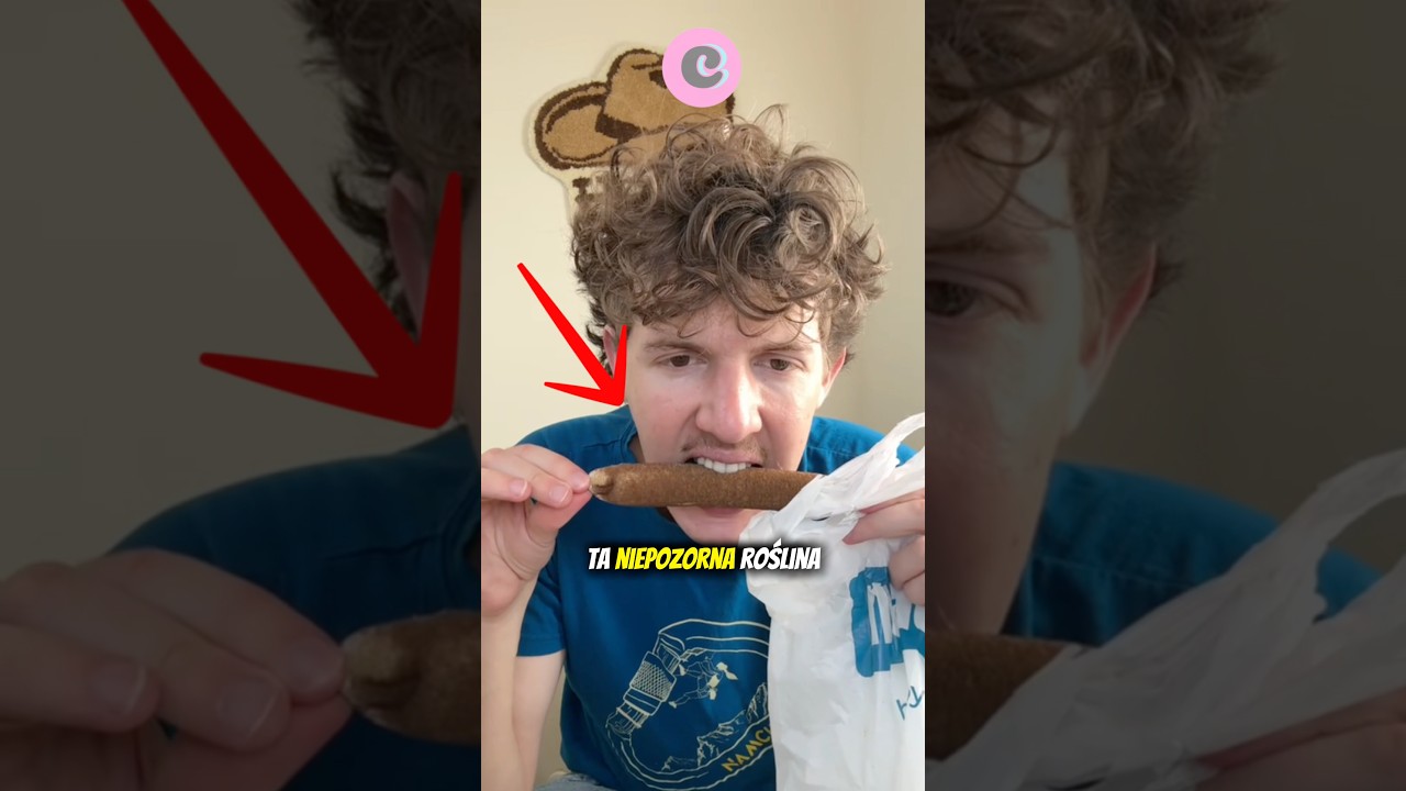 Ta roślina może URATOWAĆ ci ŻYCIE w dziczy😳🤯#edit #fakty #świat #funfacts #rozrywka #facts #funny