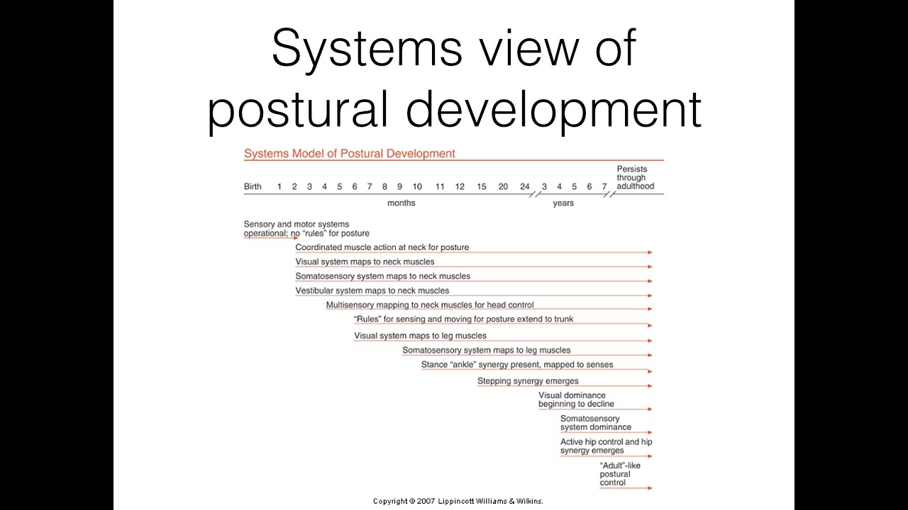 Development of postural control