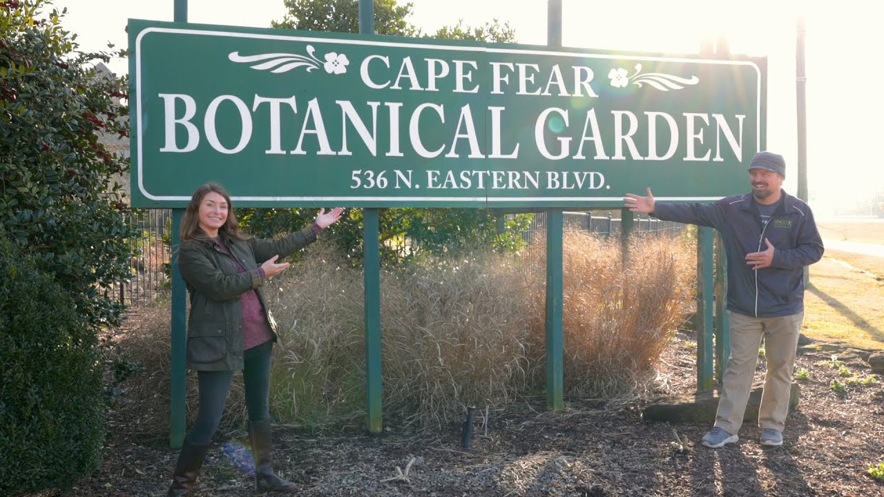 Amazing Camellia Collection - Cape Fear Botanical Garden